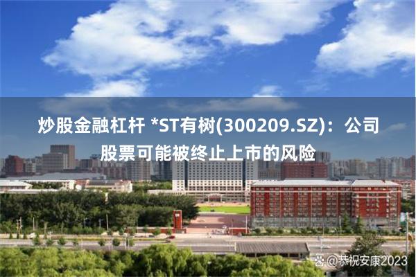 炒股金融杠杆 *ST有树(300209.SZ)：公司股票可能被终止上市的风险