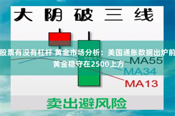 股票有没有杠杆 黄金市场分析：美国通胀数据出炉前 黄金稳守在2500上方