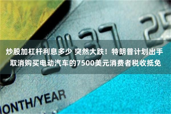 炒股加杠杆利息多少 突然大跌！特朗普计划出手 取消购买电动汽车的7500美元消费者税收抵免